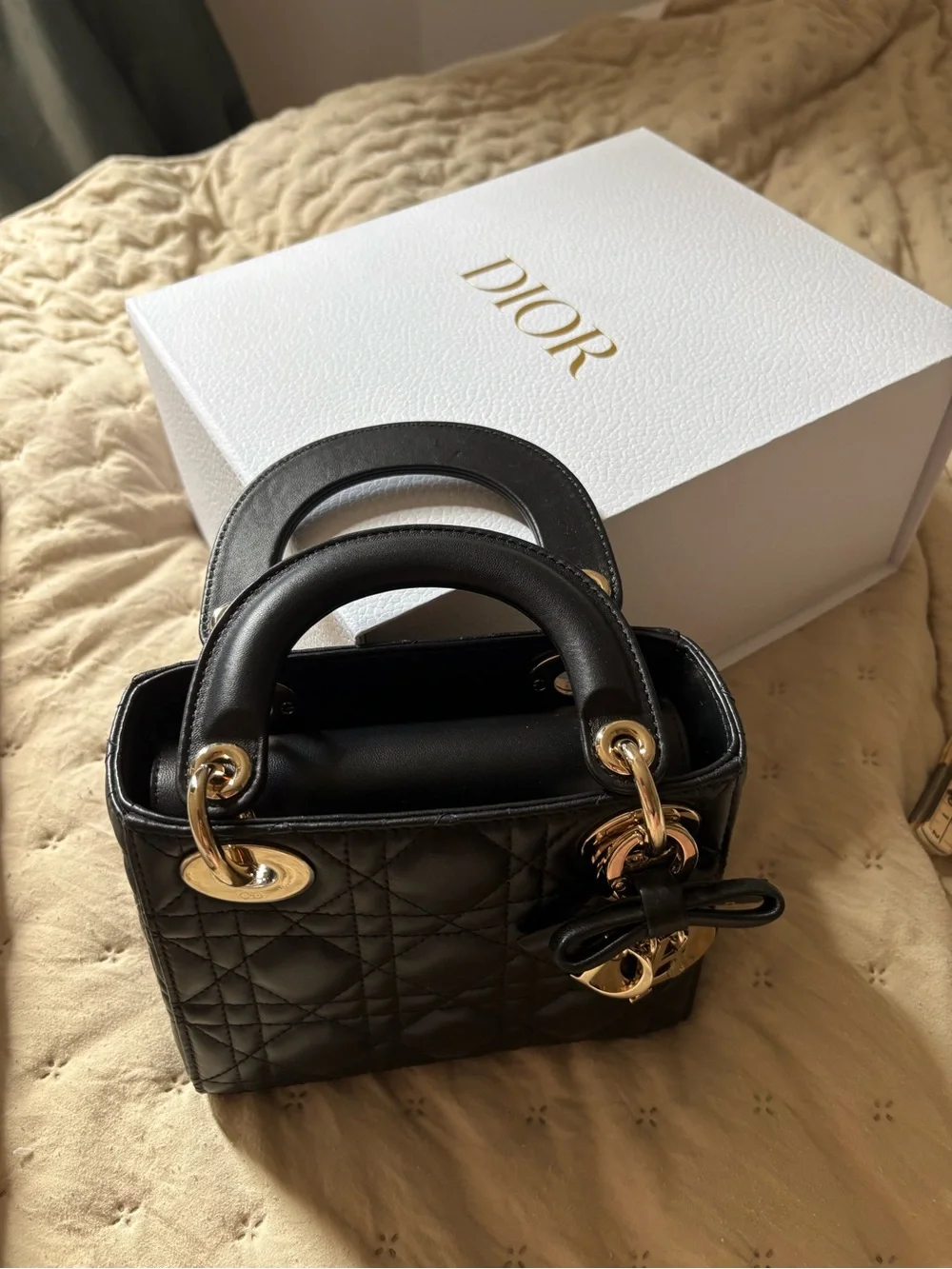 My Small Lady Dior Abc Bag - New 2026